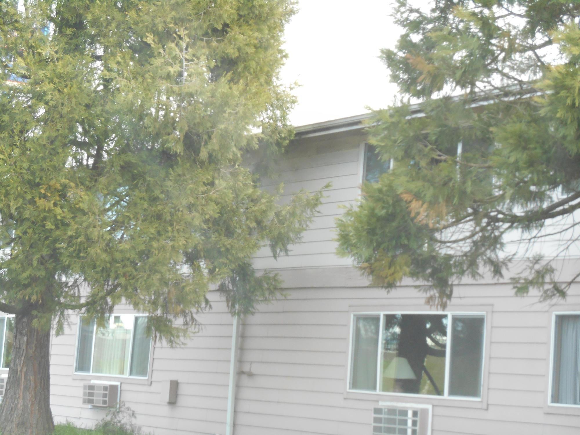 Guesthouse Inn & Suites Eugene/Springfield Exterior photo